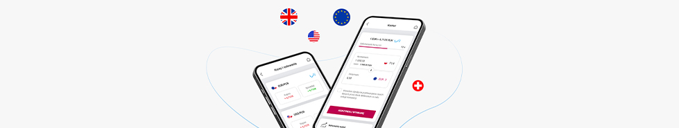 currency exchange mobile app view